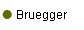 Bruegger