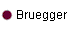 Bruegger